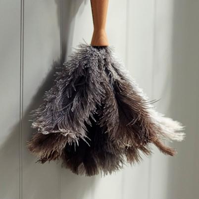 <b>Andree</b> <b>Jardin</b> Small Ostrich Feather Duster