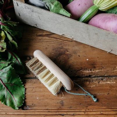 Andree Jardin Vegetable Brush Beech
