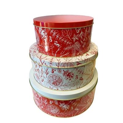 Christmas Festive Cake Tin