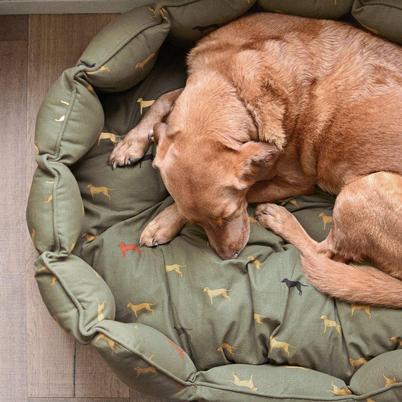 Sophie Allport Fab Labs Pet Bed Large