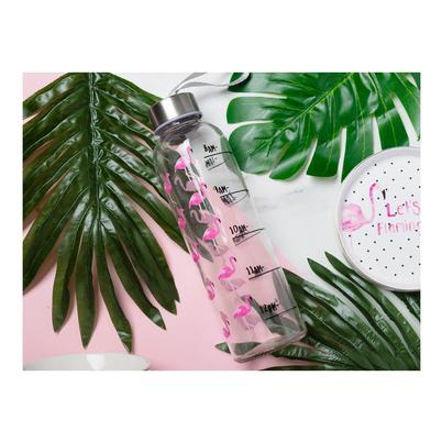 Creative Tops Ava & I Flamingo 500ml Glass Water Bottle