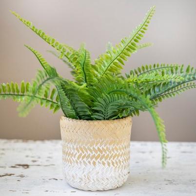 KitchenCraft Bamboo Planter