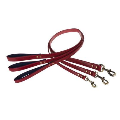 Sophie Allport Stamped Dog Lead Red Medium