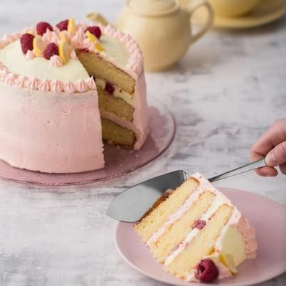 Viners Select 18.0 Cake Server