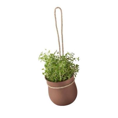 Eddingtons Grow It Herb Pot Terracotta