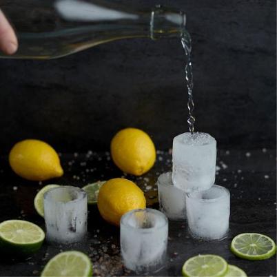 Gentlemen's Hardware Ice Cube Shot Glass Mould