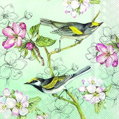 IHR Lunch Napkins Birds Symphony Green