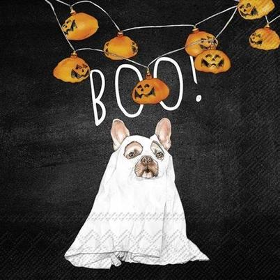 IHR Cocktail Napkins Boo Dog Black