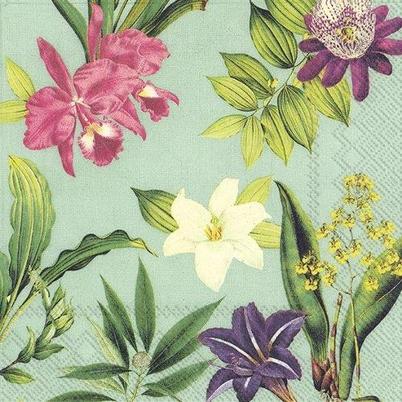 IHR Cocktail Napkins Flowers of Paradise Mint