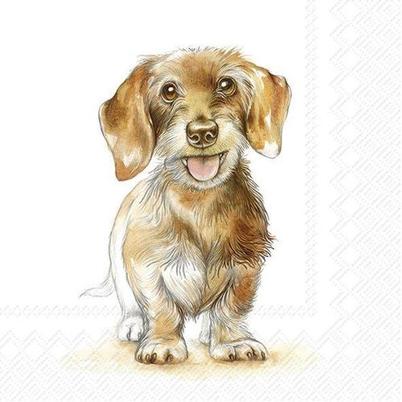 IHR Lunch Napkins Fritz 