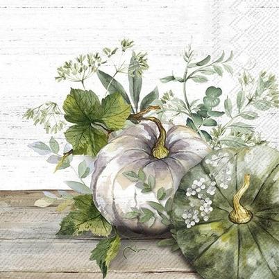 IHR Lunch Napkins Green & White Pumpkin
