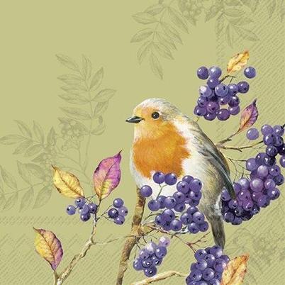 IHR Lunch Napkins Bird Life Green 