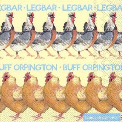 IHR Lunch Napkins Hens 