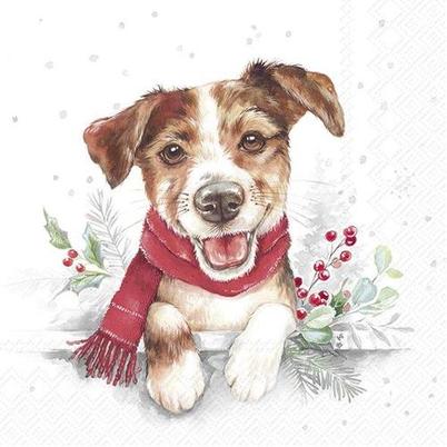 IHR Christmas Lunch Napkins Louie