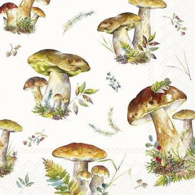 IHR Lunch Napkins Mushroom Collection Cream