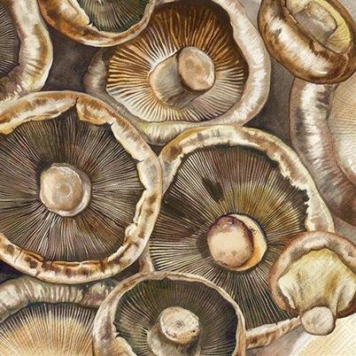 IHR Lunch Napkins Mushroom 