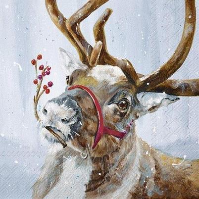 IHR Lunch Napkins Sam In The Snow Blue
