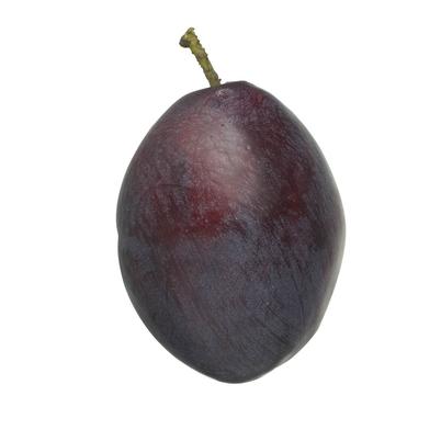 Decorative Plum 70mm Dark Purple