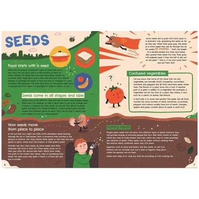 Seed To Supper by Michelle Darmody 