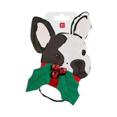 Talking Tables Botanical Christmas Hound Holly Dress Up