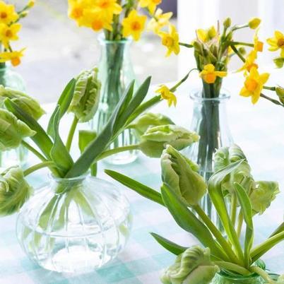 Talking Tables Clear Round Glass Bud Vase 8cm