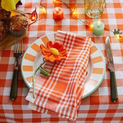 Talking Tables Bon Appetit Orange & White Fabric Gingham Napkins Tea Towels Set of 2