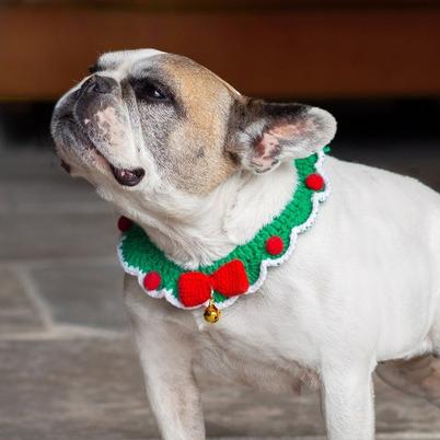 Talking Tables Christmas Crochet Dog Collar