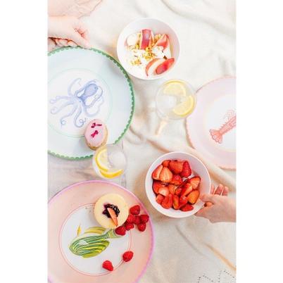 Yvonne Ellen Melamine Dinner Plates Set of 4