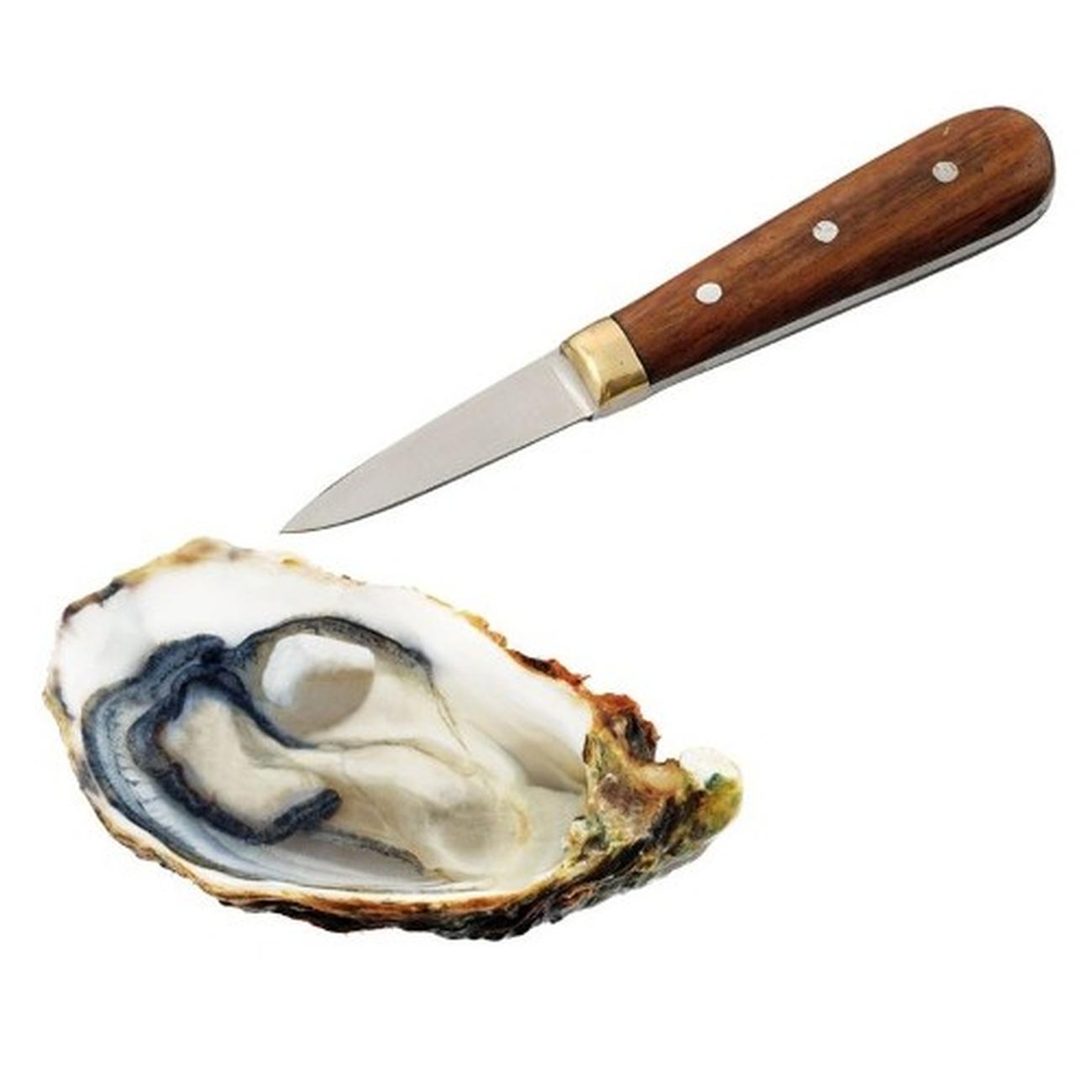 oyster-knife-wooden-handle - Oyster Knife Rosewood Handle