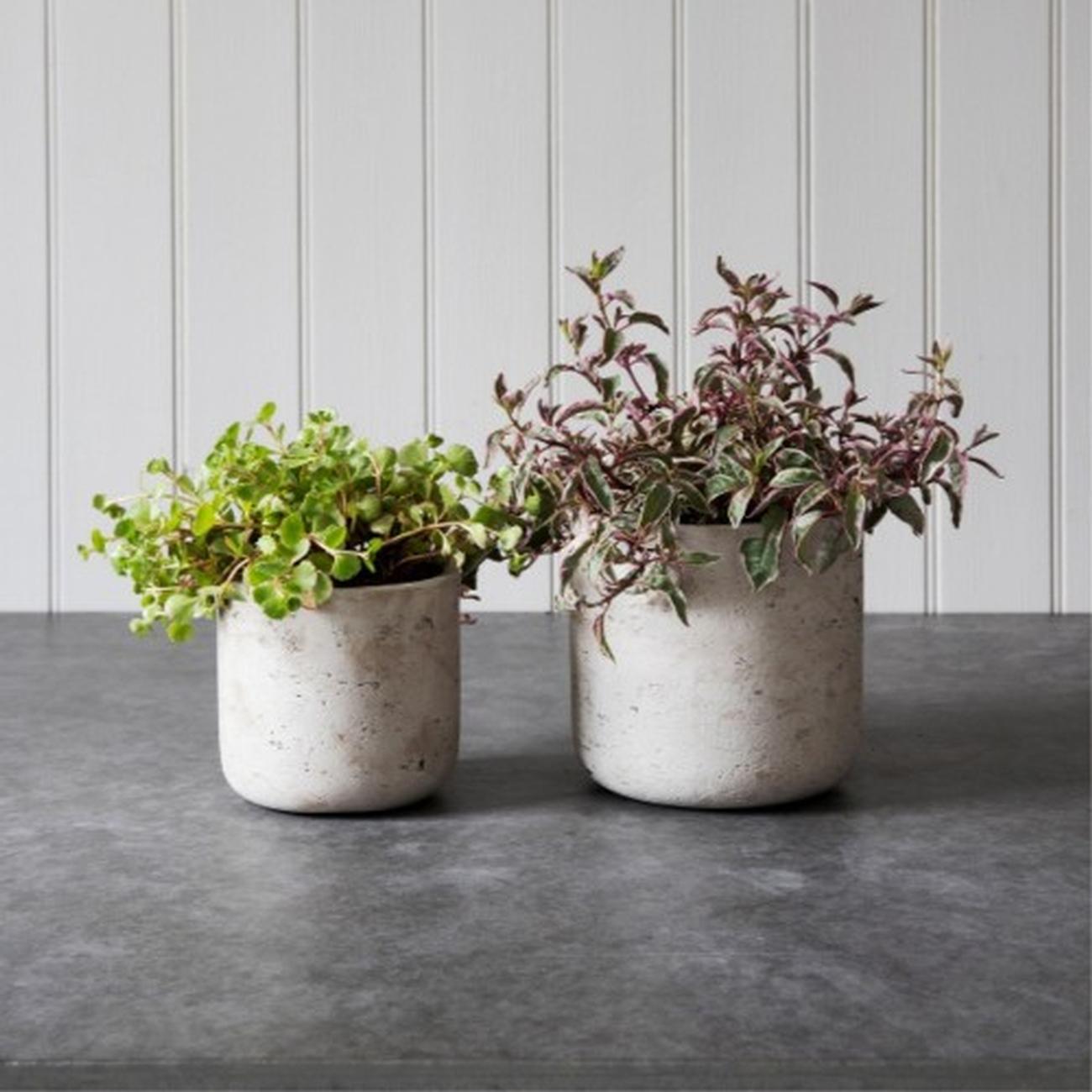 gt-stratton-sraight-plant-pots-stone-large - Garden Trading Stratton Straight Plant Pots Stone Large
