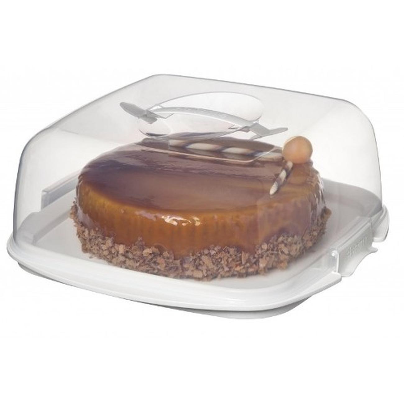 Clear Square Cake Container Buy clear square cake container in Dubai United  Arab Emirates