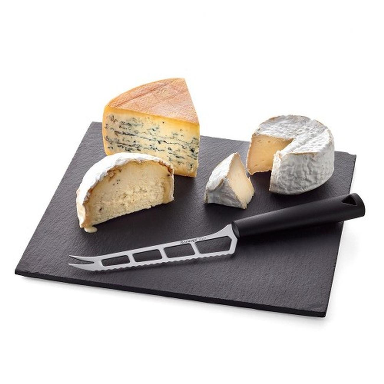 triangle-stainless-steel-cheese-knife - Triangle Cheese Knife