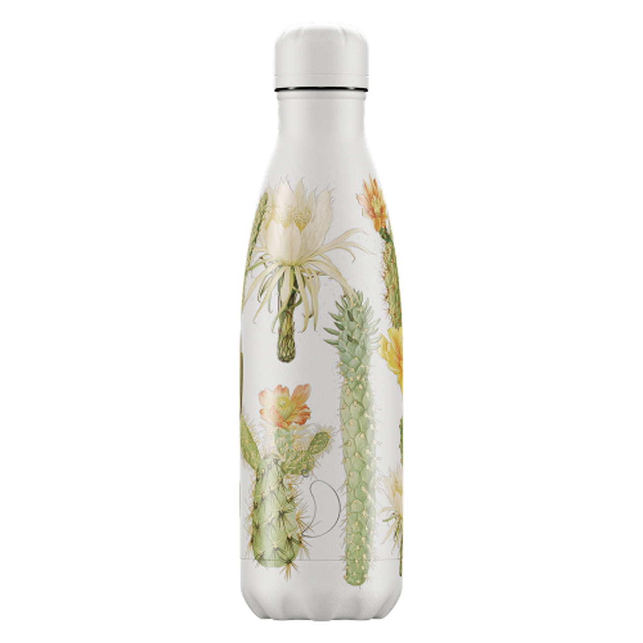 chillys-500ml-water-bottle-emma-bridgewater-blue-anemone - Chilly's 500ml Water Bottle Botanical Cacti