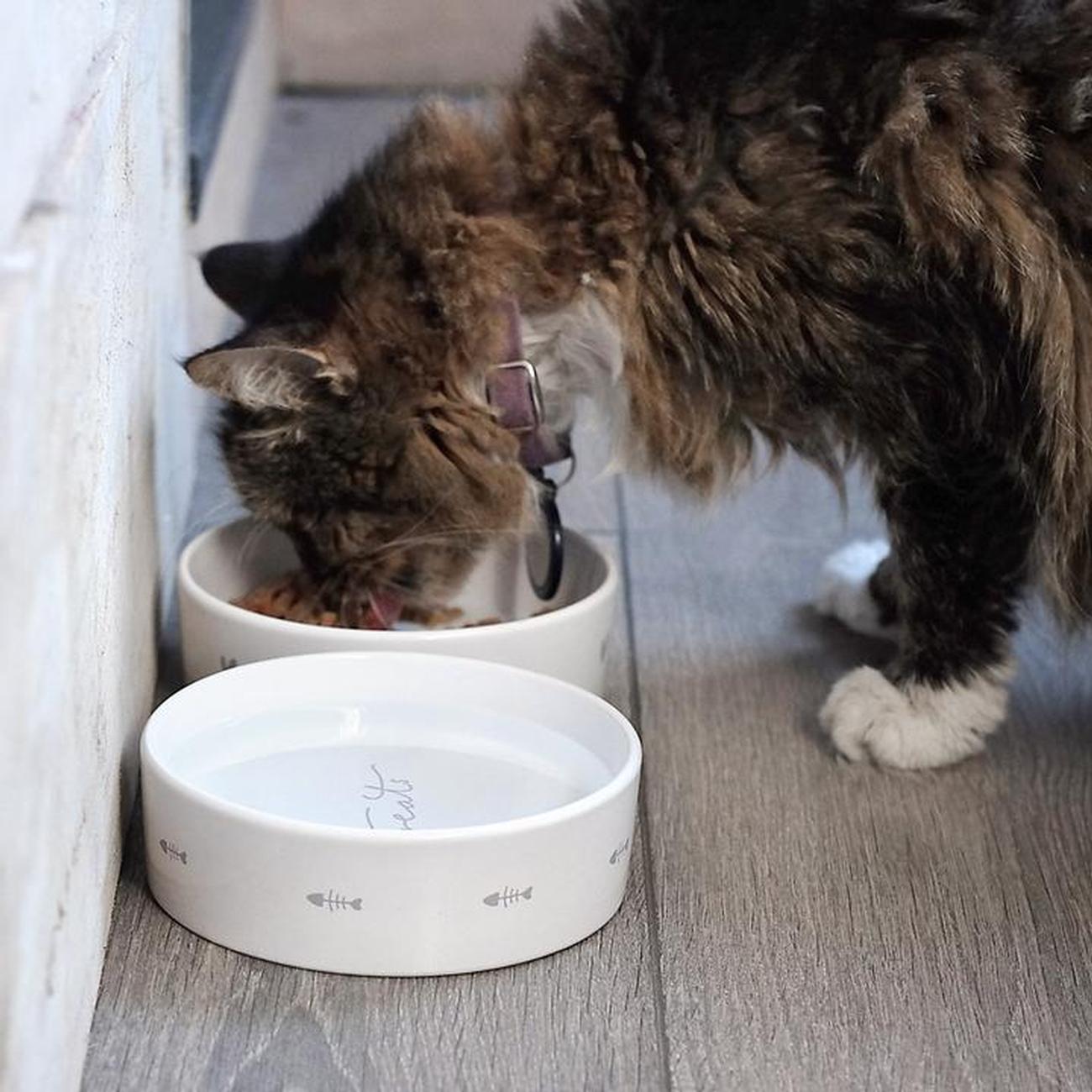 Sophie allport cat sales bowl
