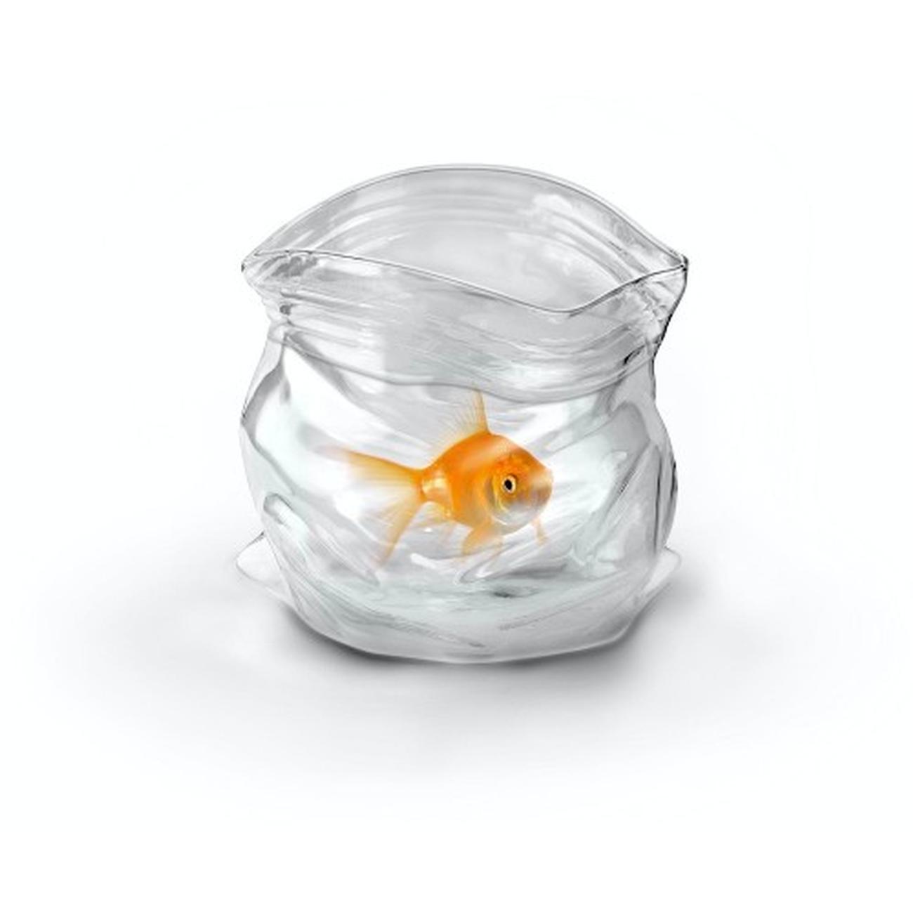 fred-unzipped-glass-jar - Fred Unzipped Glass Jar