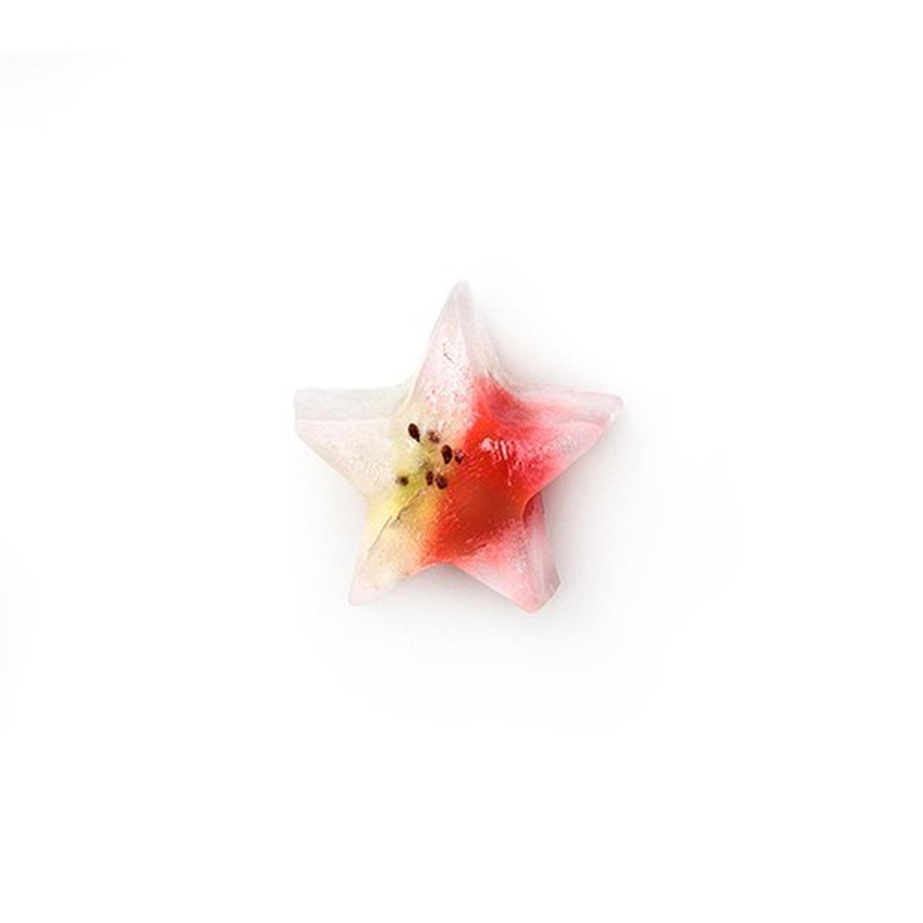 leuke-star-ice-cube-tray - Leuke Slim Star Ice Cube Tray