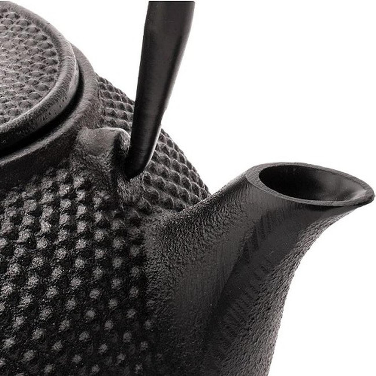 bredemeijer-jang-cast-iron-teapot-800ml - Bredemeijer Jang Cast Iron Teapot 800ml