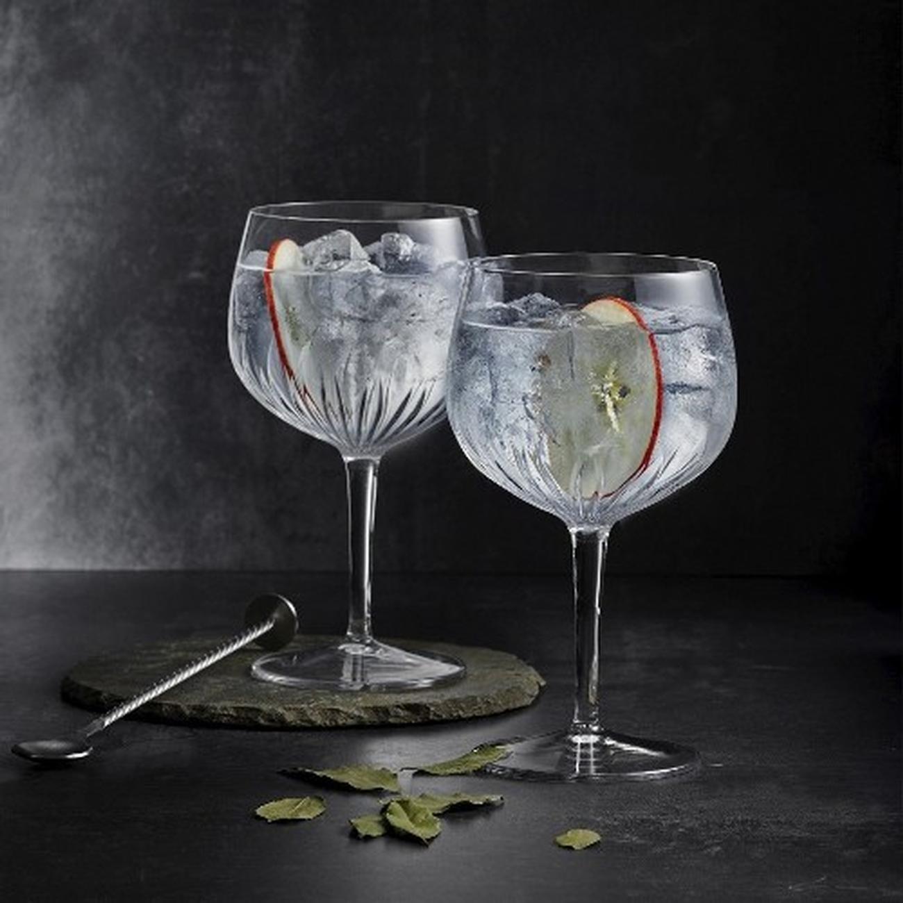 luigi-borgioli-mixology-spanish-gin-glasses-set-of-4 - Luigi Bormioli Mixology Spanish Gin Glass Set of 4
