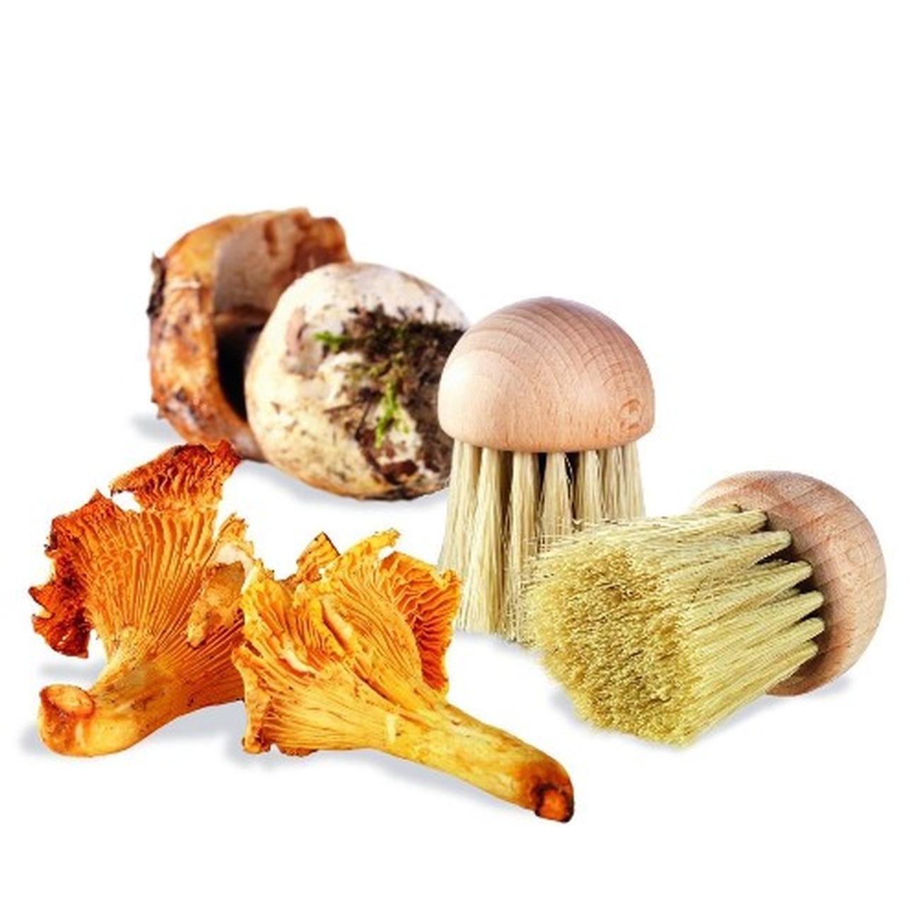 mushroom-brush-wooden-handle - Mushroom Brush Wooden Handle