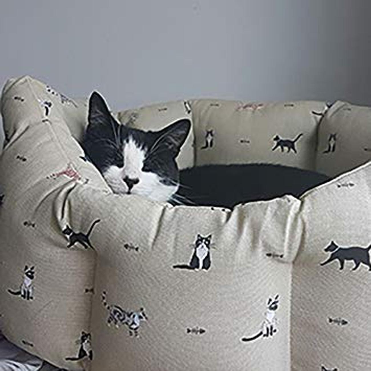 sophie allport cat bowl