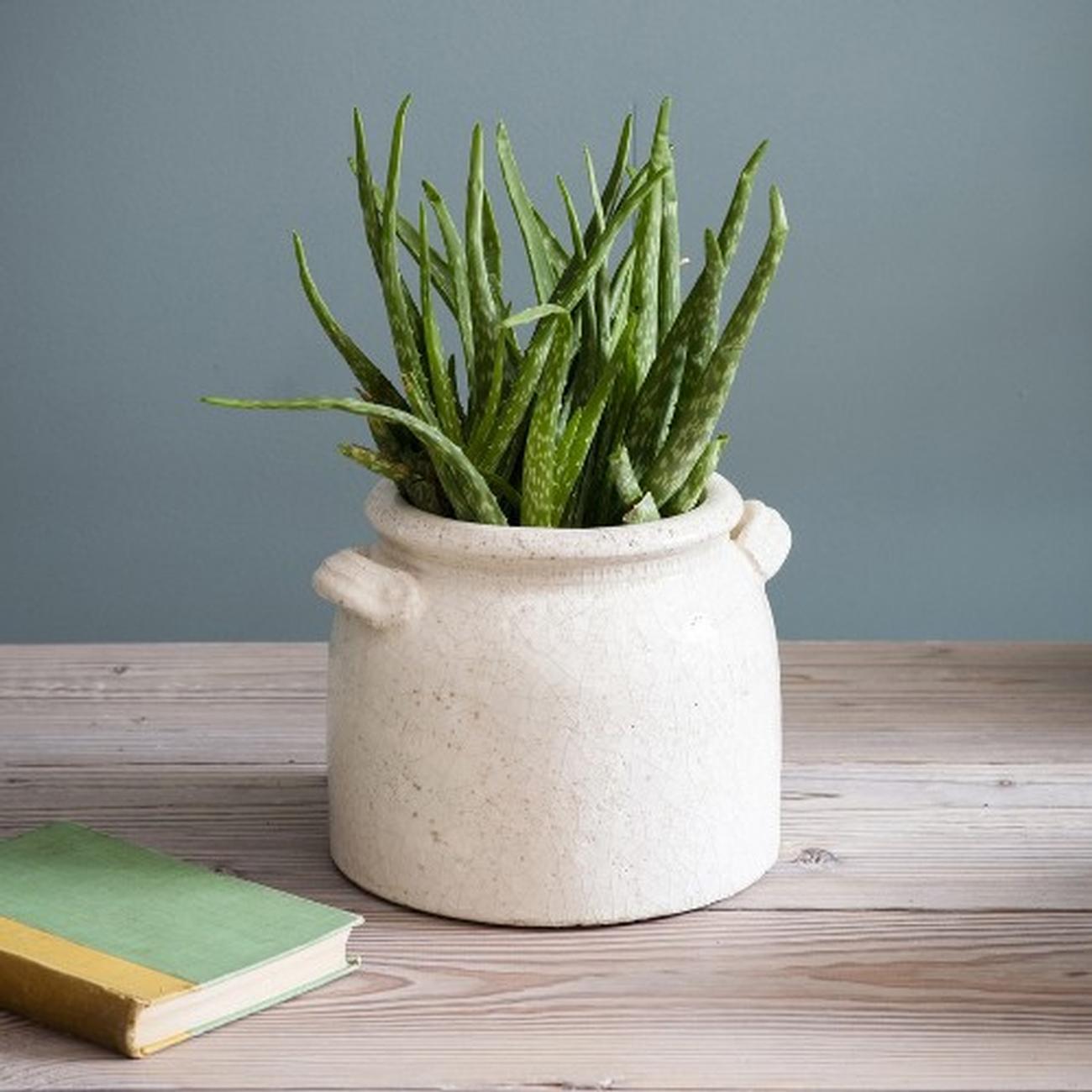 garden-trading-ceramic-pot-with-handles-ravello - Ravello Ceramic Pot with Handles