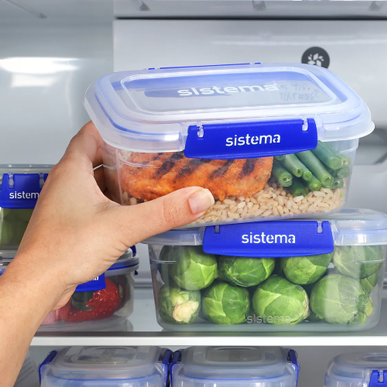 Sistema Klip It Salad Keeper