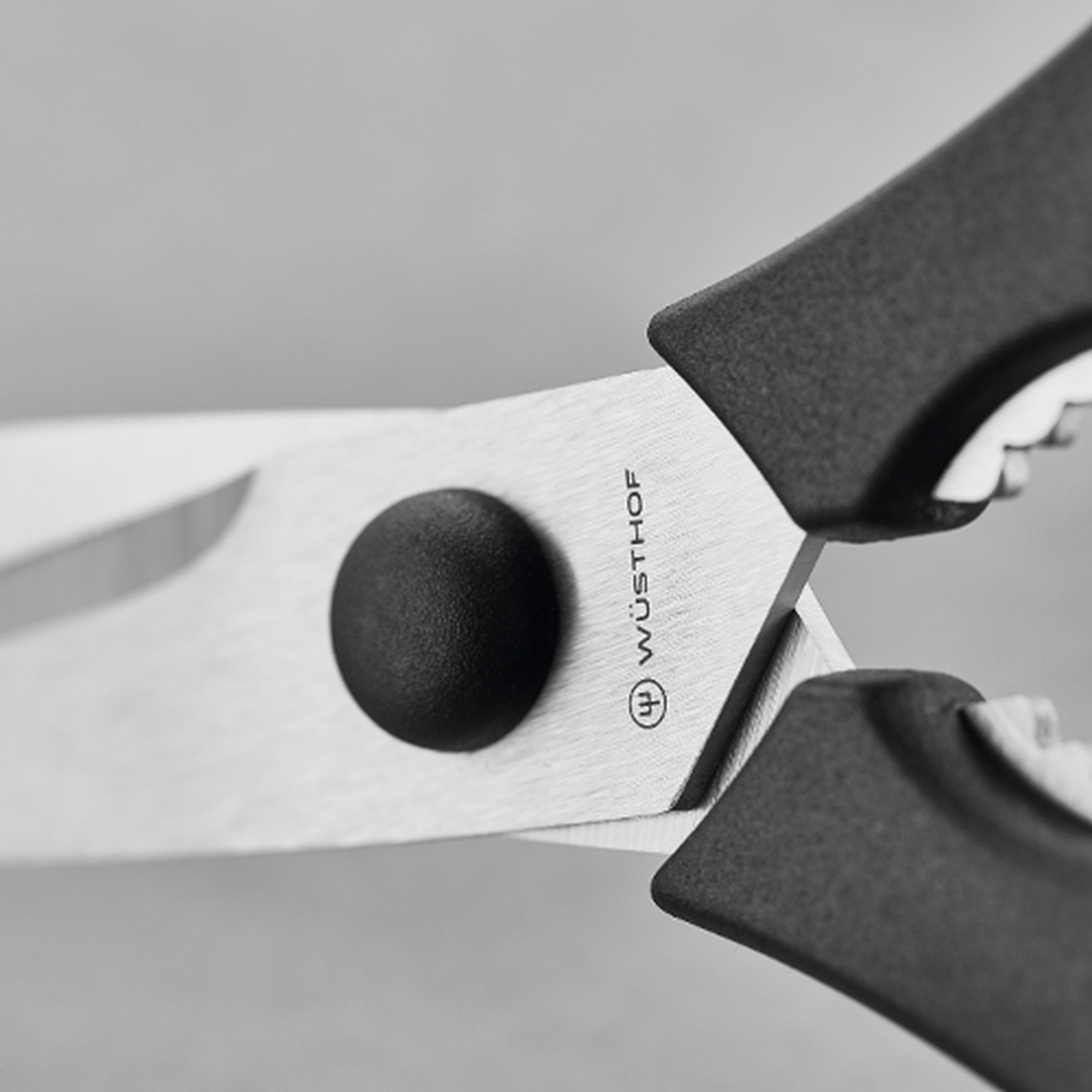 wusthof-kitchen-scissors - Wusthof Kitchen Shears