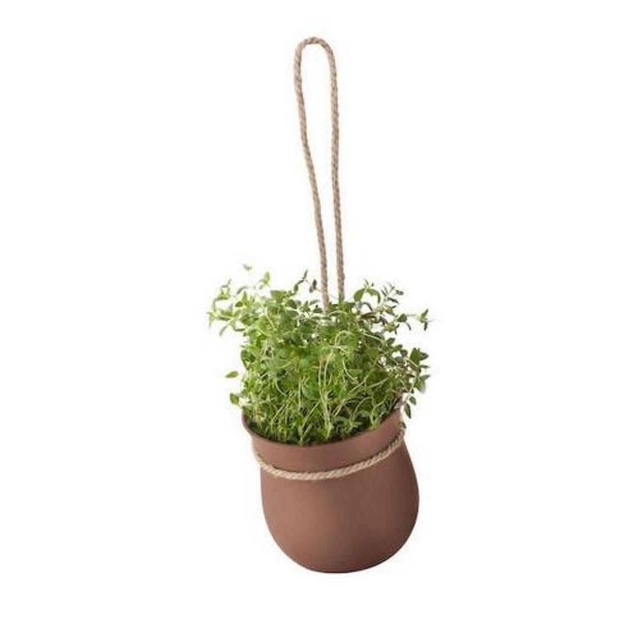 eddingtons-grow-it-herb-pot-terracotta - Eddingtons Grow It Herb Pot Terracotta