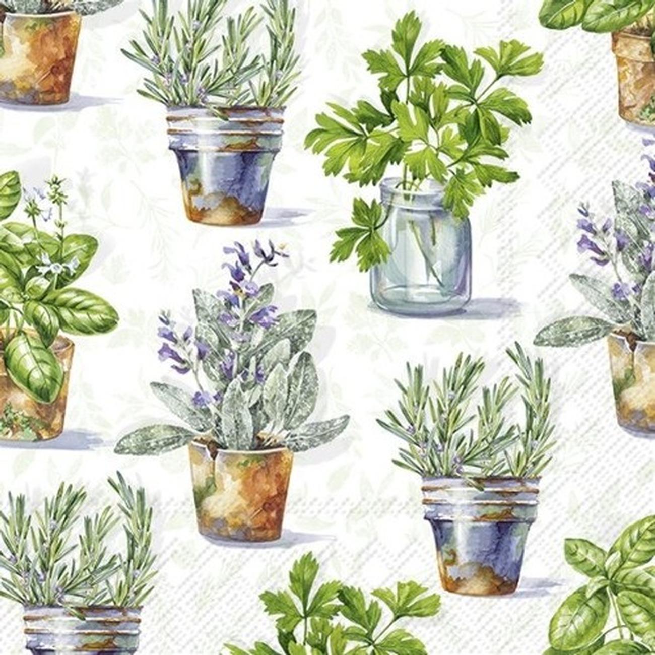 ihr-aromatic-herbs-lgreen-lunch-napkins - IHR Lunch Napkins Aromatic Herbs Light Green