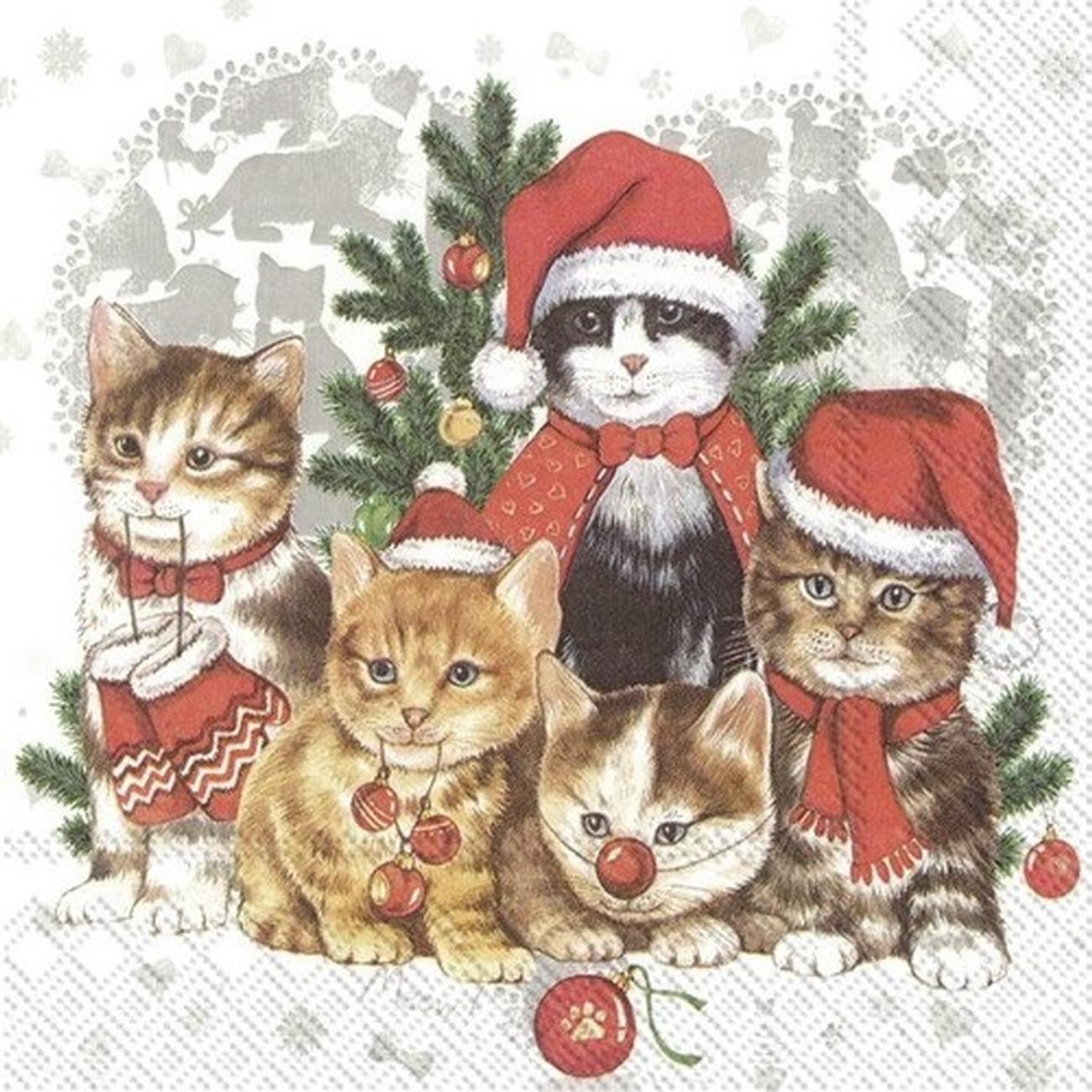 ihr-christmas-lunch-napkins-cat-mas - IHR Christmas Lunch Napkins Cat-Mas