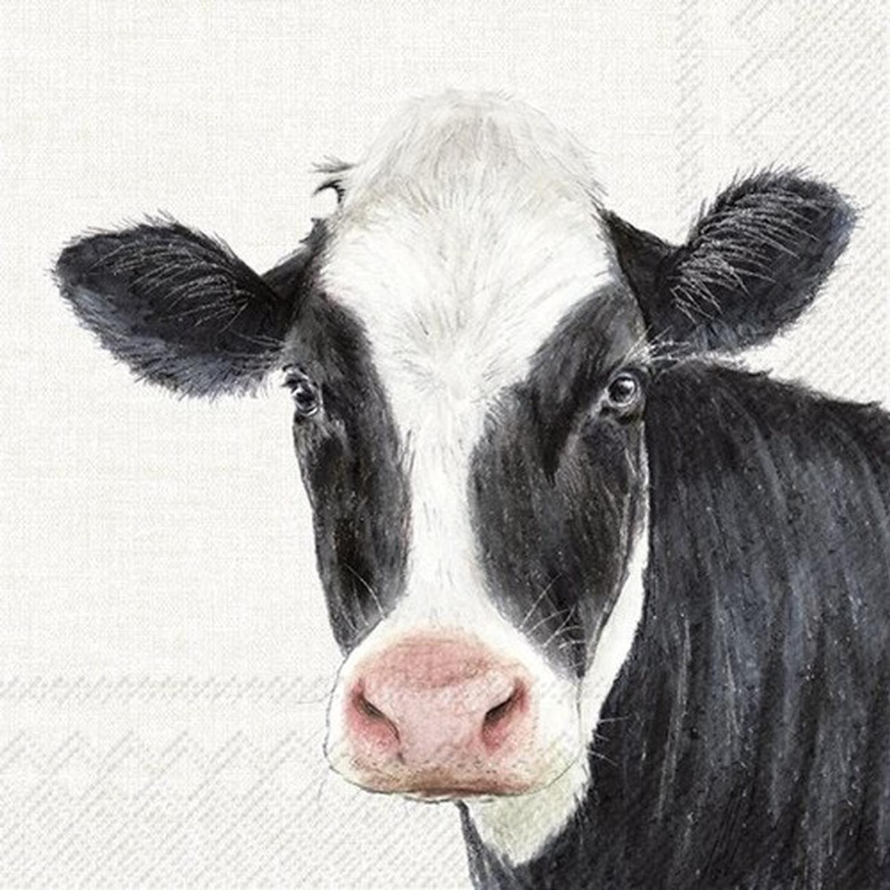 farm-cow-cream-lunch-napkins - IHR Lunch Napkins Farm Cow Cream 
