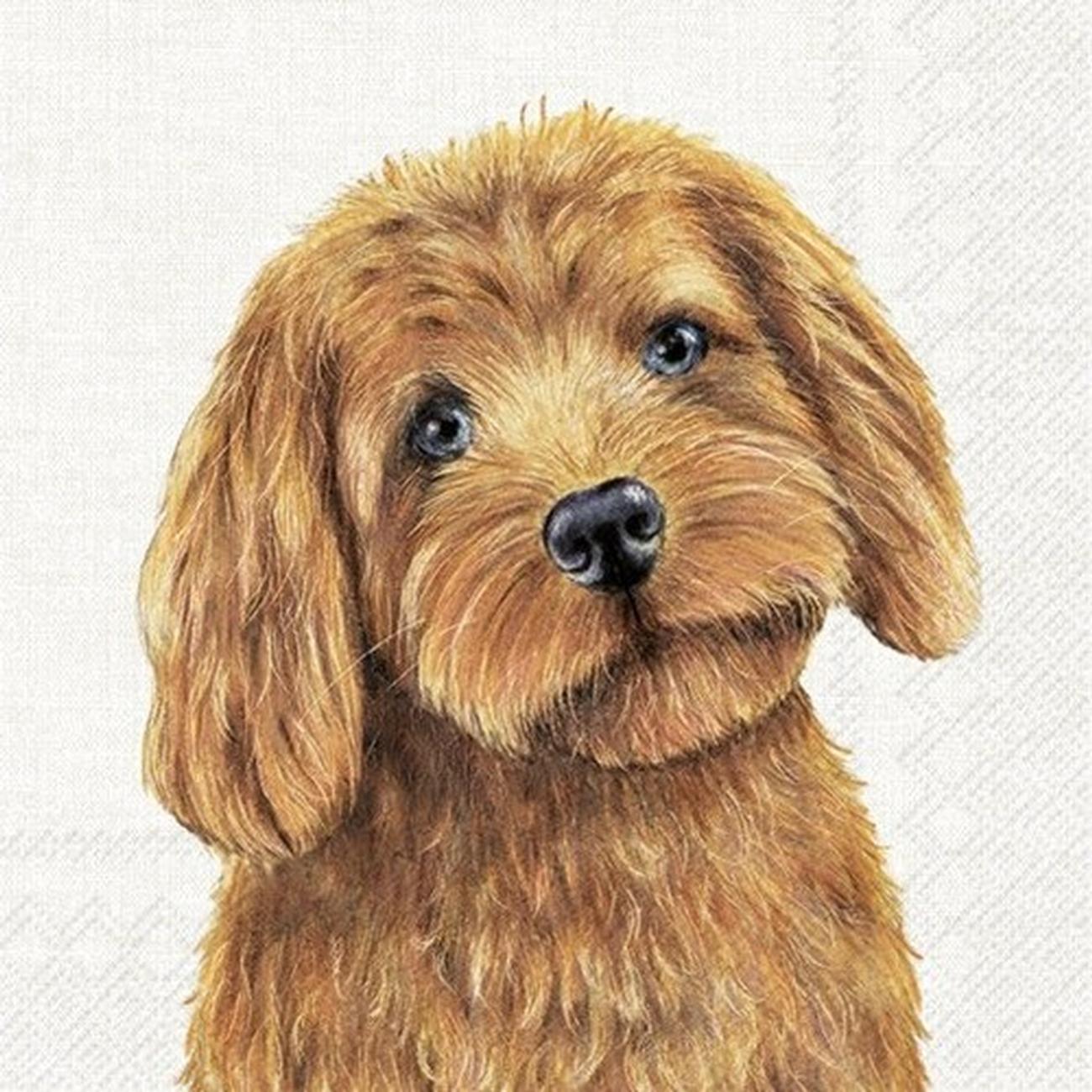 ihr-farm-dog-cream-lunch-napkins - IHR Lunch Napkins Farm Dog Cream 