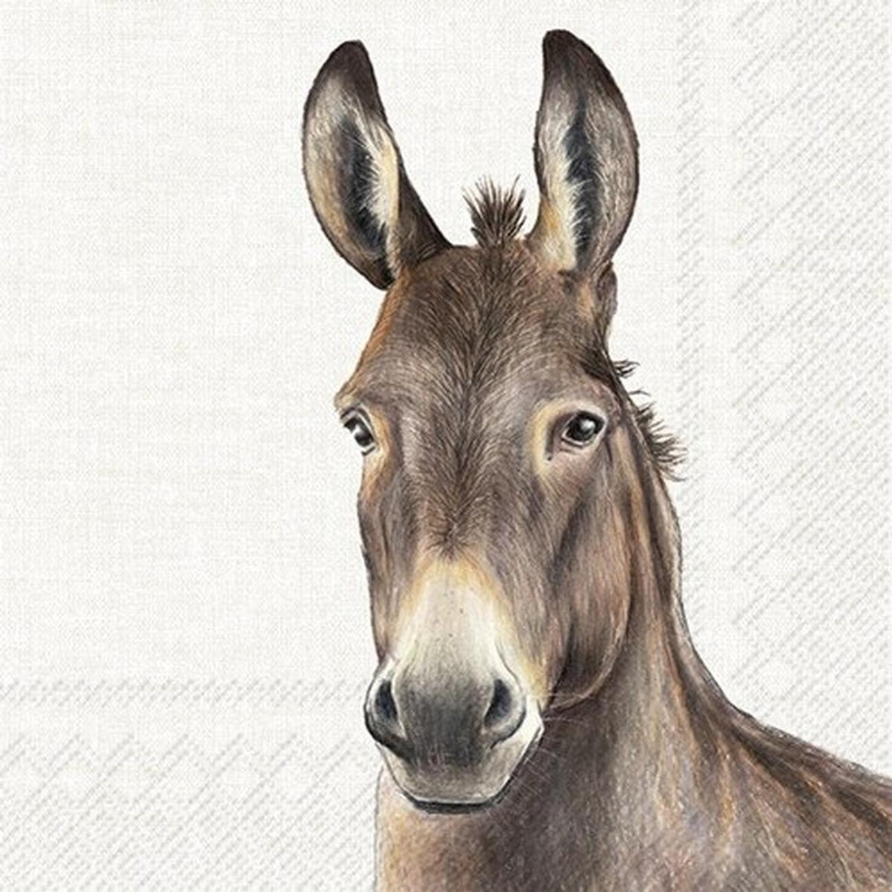 ihr-farm-donkey-cream-lunch-napkin - IHR Lunch Napkins Farm Donkey Cream