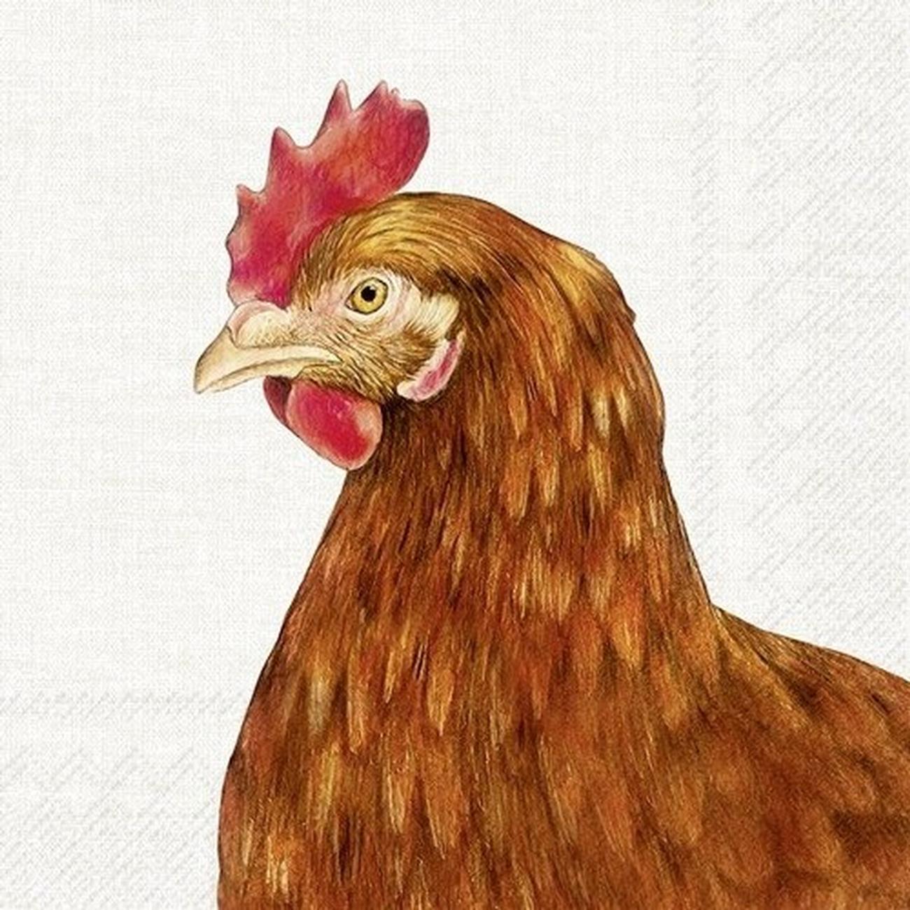 ihr-farm-hen-cream-lunch-napkins - IHR Lunch Napkins Farm Hen Cream 